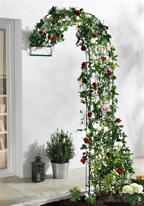 Aber auch rosenbögen nach maß. Rosenbogen »Baccara« online kaufen | OTTO