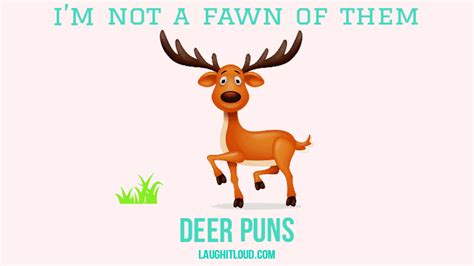 40 Deer Puns That Are So Deer To Me