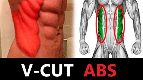Exercises That Help You Get V Cut Abs Youtube