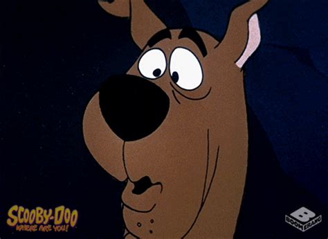 Scooby Doo Scared S Find And Share On Giphy