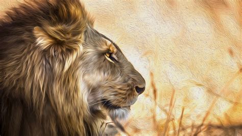 2560x1440 Lion Art 1440p Resolution Hd 4k Wallpapers Images
