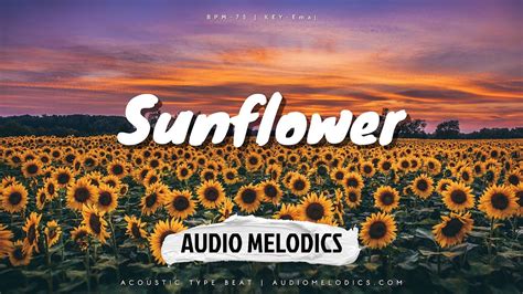 Free Acoustic X Pop Type Beat Sunflower Prod By Audio Melodics