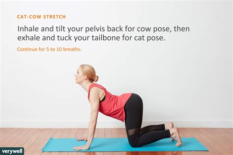 Continue flowing back and forth from cat pose to cow pose, and connect your breath to each movement — inhale for cow pose and exhale on cat. How to Do Cat-Cow Stretch (Chakravakasana)