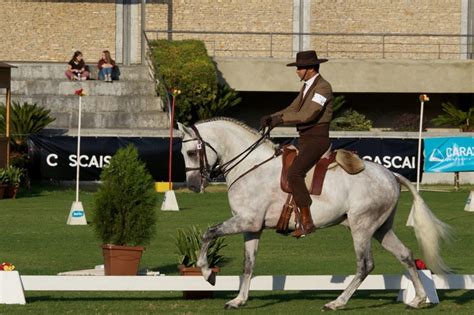 herodes o mais bem pontuado em cascais equisport