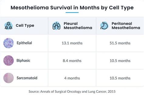 Guide To Mesothelioma Life Expectancy And Survival Rates
