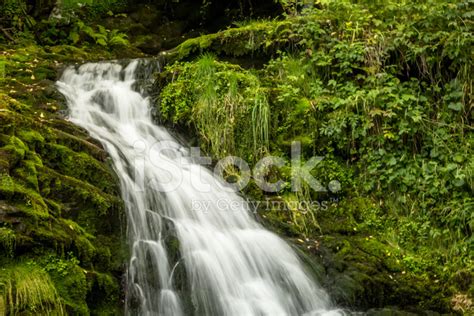 Peaceful Waterfall Stock Photo Royalty Free Freeimages