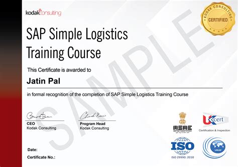 SAP Simple Logistics Training | Learn Efficient Supply Chain Management