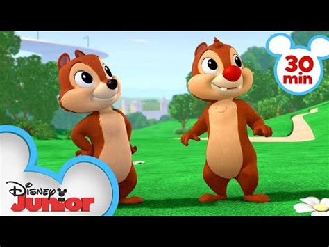 Nutty Tales Minute Compilation Chip N Dale S Nutty Tales Disney Junior