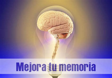 Cómo Mejorar Memoria Concentración Rendimiento Y Disminuir Cansancio