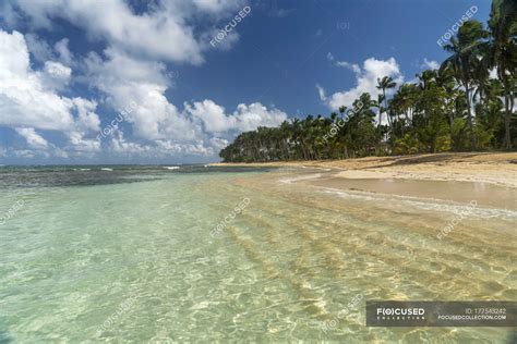 Dominican Republic Peninsula Samana Beach Of Las Terrenas — Sea