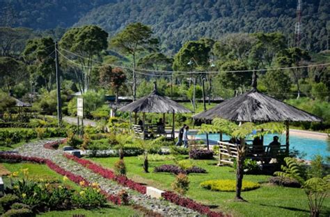 We did not find results for: Taman Bunga Dm Pandeglang / Pesona Taman Bunga Kadung Hejo ...