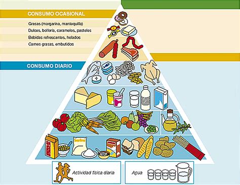 Pirámide Nutricional Con Ejercicio Físico Comebienganandovida