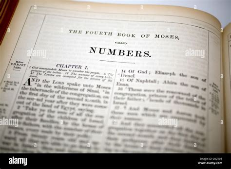 The Book Of Numbers Bible Heading Stock Photo Royalty Free Image