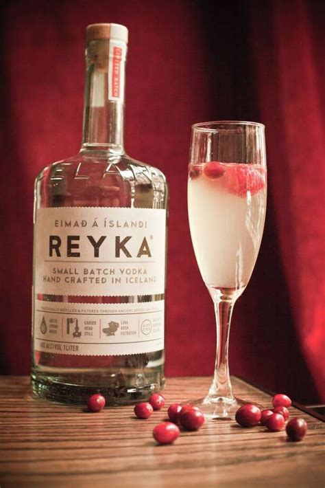 Reyka Vodka Does Iceland Proud Houston Chronicle