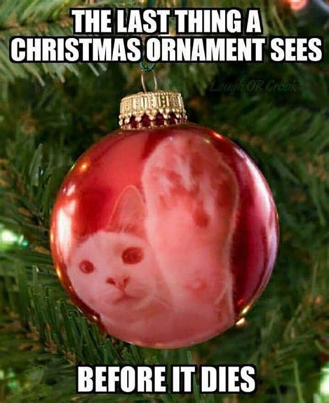Hilarious Christmas Memes To Share On All Social Media
