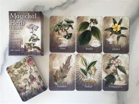 Magickal Herb Oracle The Healing Company