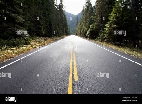 Empty Highway Through Forest Montana Usa Stock Photo Alamy