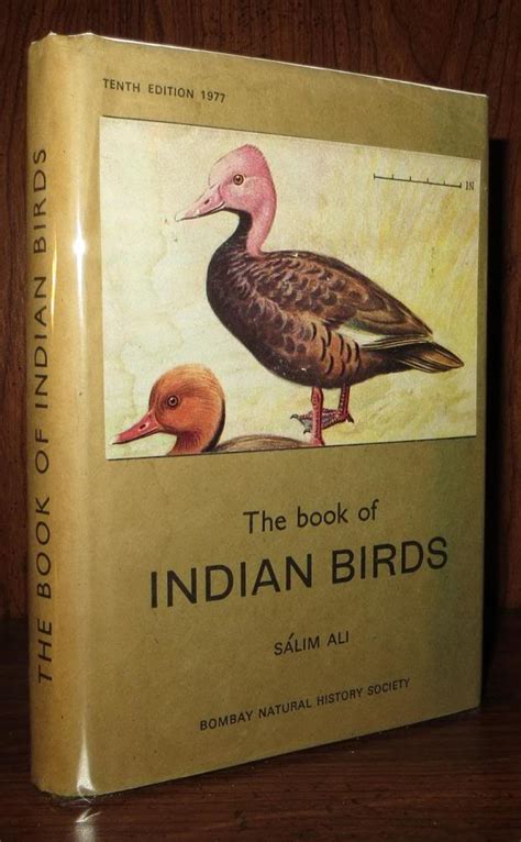The Book Of Indian Birds Salim Ali Tenth Edition