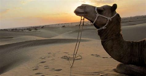 11 Best Places To Visit In Sikar To Unravel The Hidden Gems In 2022