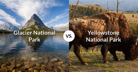 glacier national park vs yellowstone national park sampling america stories from the road