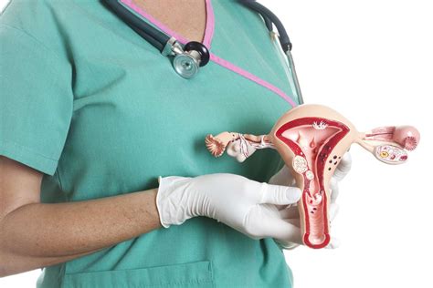Endometrial Hyperplasia Causes Symptoms Treatment