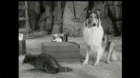 Lassie Episode 352 The Samaritans Season 10 Ep 29 531964 Youtube