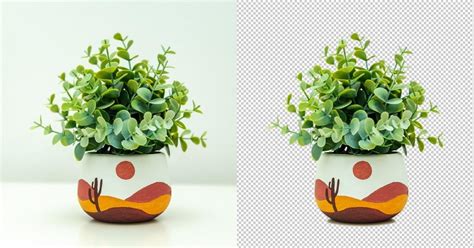 Professional Image Masking Services A Comprehensive Guide Retouching