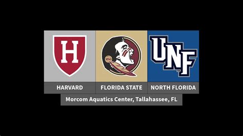 Fsu Swim Meet Youtube