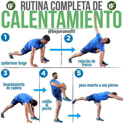 Calentamiento Estiramientos Activos Para Antes De Ent