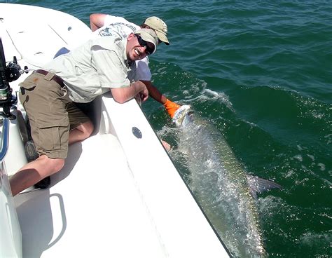 Florida Charter Pictures Of Tarpon And Other Fish Species From