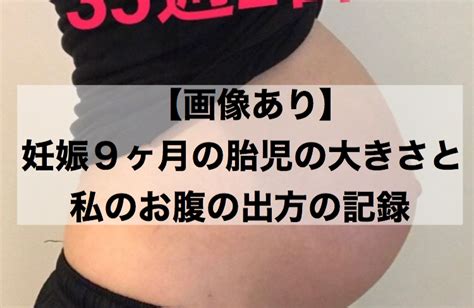 The site owner hides the web page description. 【画像あり】妊娠9ヶ月（妊娠32週33週34週35週）の胎児の大きさ ...