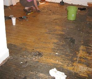If your floor is a. How do I remove adhesive from hardwood floors? | Pete's Q ...