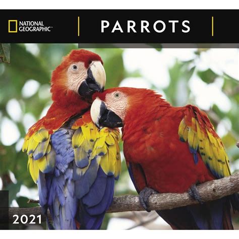 Parrots National Geographic Wall Calendar Calendars Com