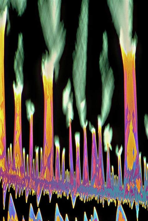 Nicotine Crystals Photograph By Dennis Kunkel Microscopyscience Photo