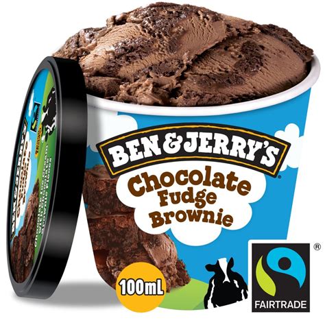 Ben And Jerrys Chocolate Fudge Brownie Ice Cream 100ml Bb Foodservice