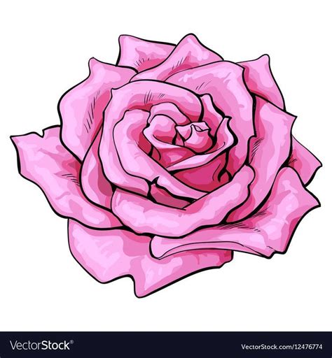 Deep Pink Rose Bud Top View Sketch Style Vector Illustration Isolated