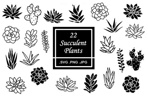 Cactus Svg Files For Cricut Desert Svg Succulent Clipart Sexiz Pix