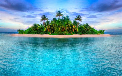 Download Wallpapers Tropical Island Ocean Beach Palm Trees Small