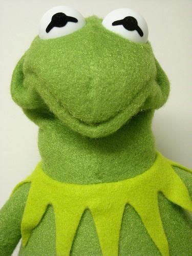 Scrunch Kermit The Frog Meme Face Mundodop