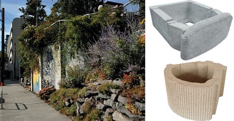 Ecco la nostra gamma al miglior prezzo aggiornata a martedì. Il community garden: giardino di città | Community LM