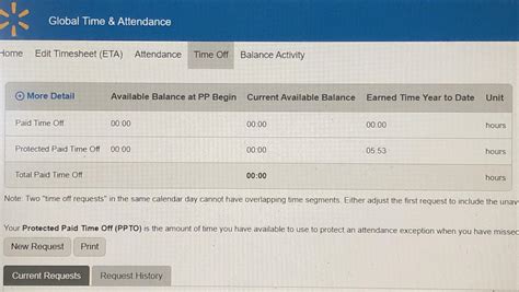 PTO question. Do I even have any PTO/PPTO to use? Can I not use the
