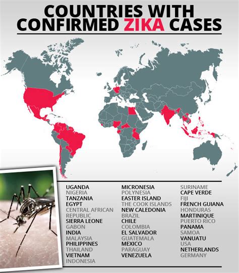 Zika First UK Cases Of Head Shrinking Virus Daily Star