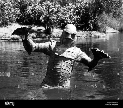 Creature From The Black Lagoon 1954 Stock Photo Alamy
