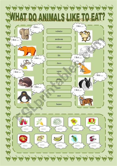 What Do Animals Like To Eat English Esl Worksheets For