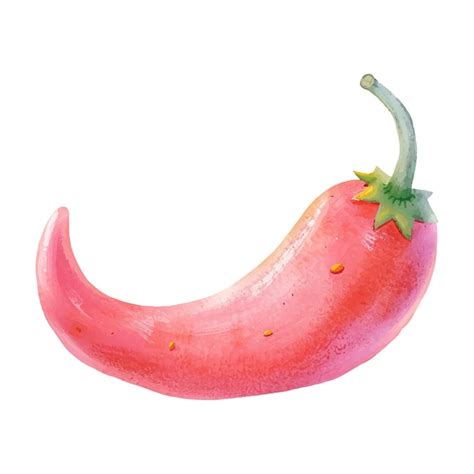 Premium Vector Red Chili Pepper White Background 4