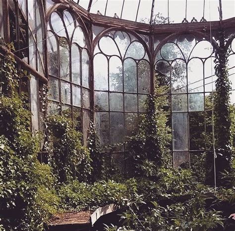 Abandoned Greenhouse Beauty — Steemit Abandoned Castles Castle