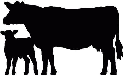 Download High Quality Cow Clipart Black And White Calf Transparent Png