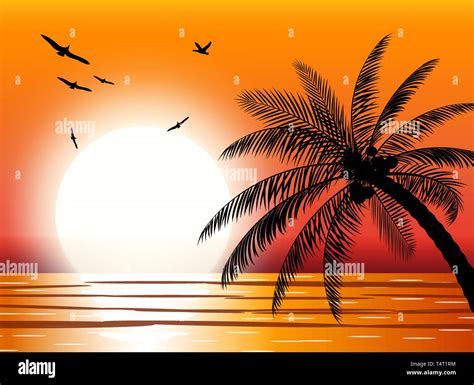 Silhouette Of Palm Tree On Beach Sun With Reflection In Water And