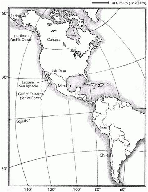 Printable Hemisphere Map Printable Map Of The United States