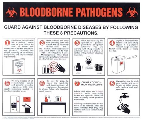 Bloodborne Pathogens Training Free Printable